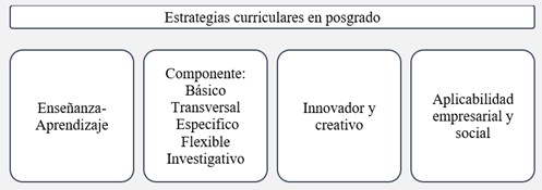 Estrategias curriculares en posgrado