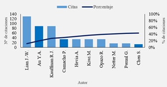 Citaciones por autor